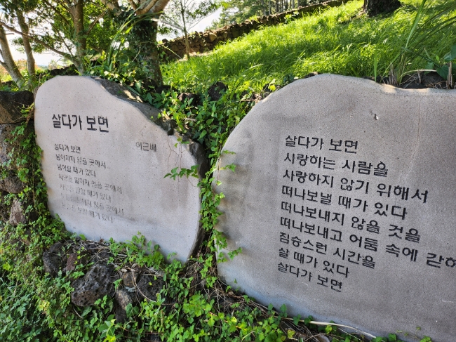 달자식당 이미지