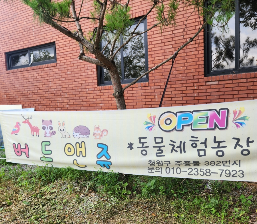 앤쥬 이미지