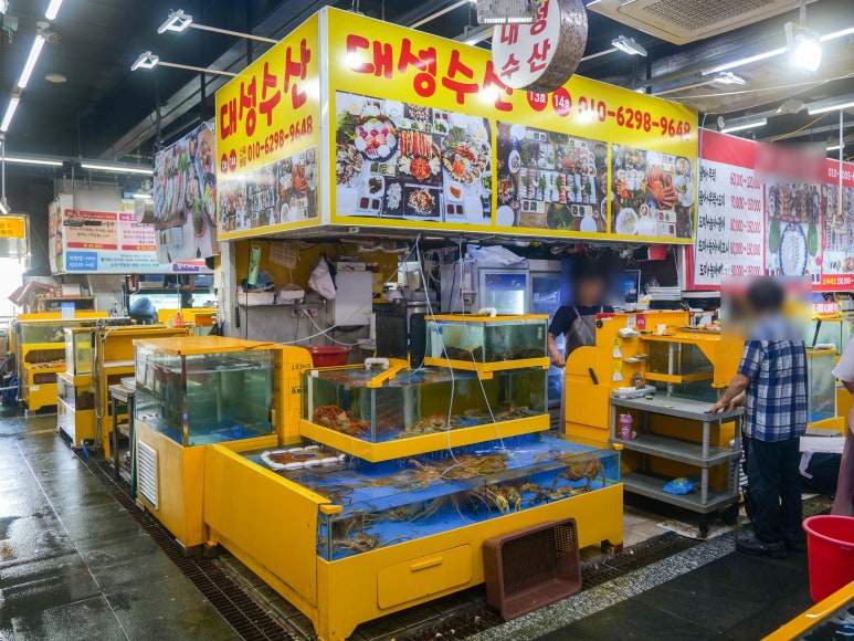 대성수산14호 이미지