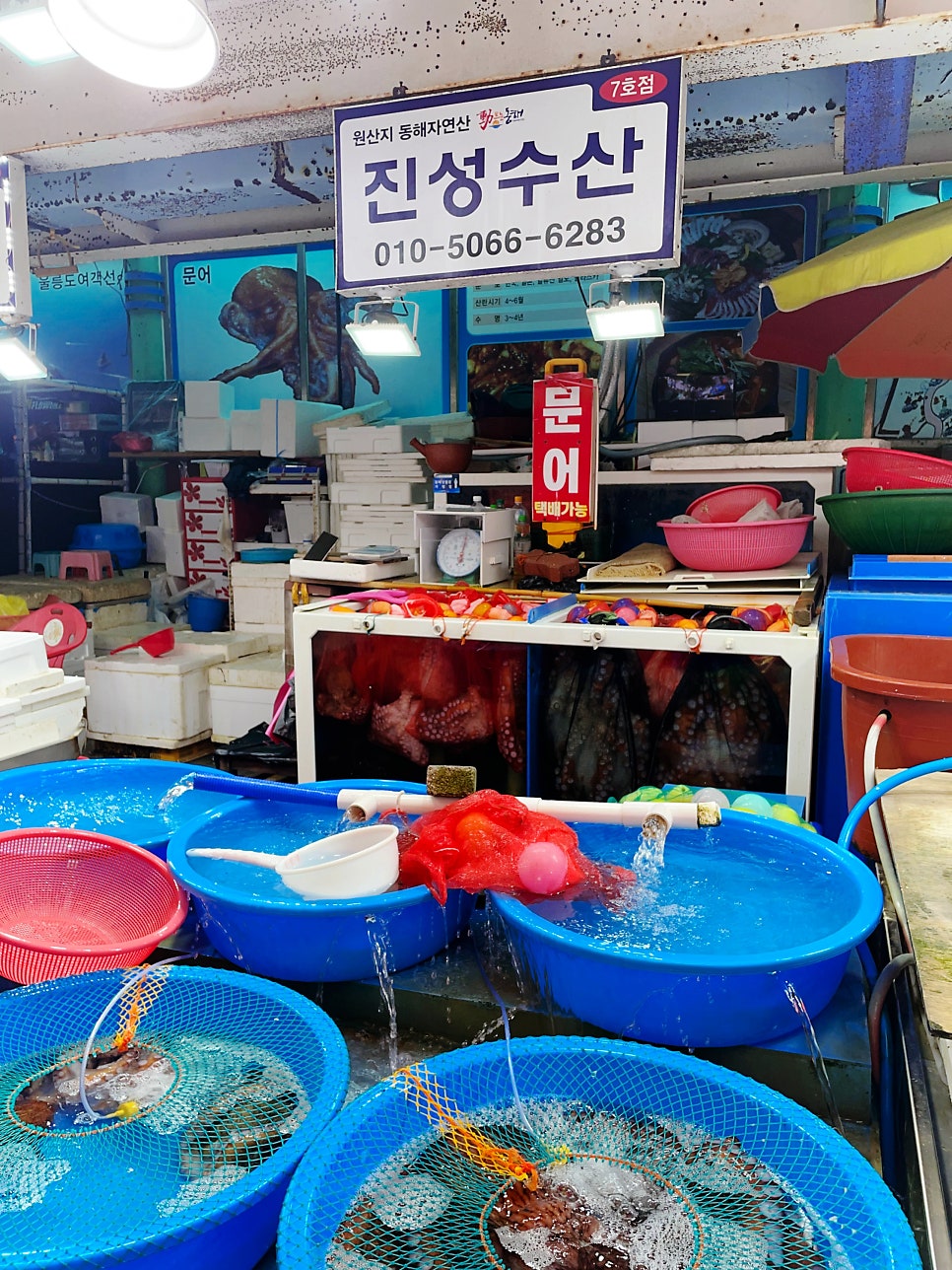 묵호항어판장 이미지