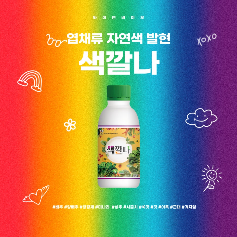 제인앤와이 이미지