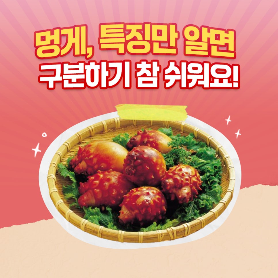 멍게의 모든 것 : 멍게 종류 및 구분법 : 네이버 블로그