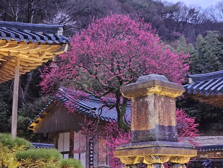 ㈜원림 이미지
