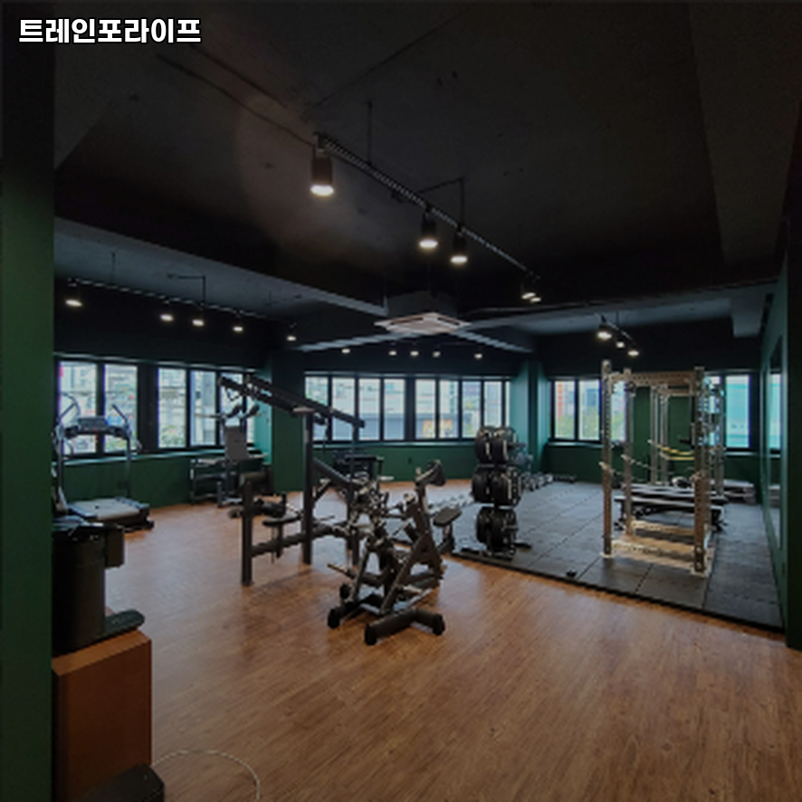 트레인포라이프 이미지
