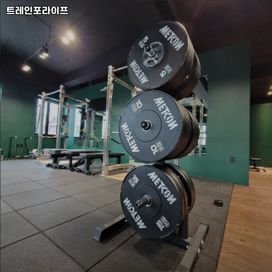 트레인포라이프 이미지