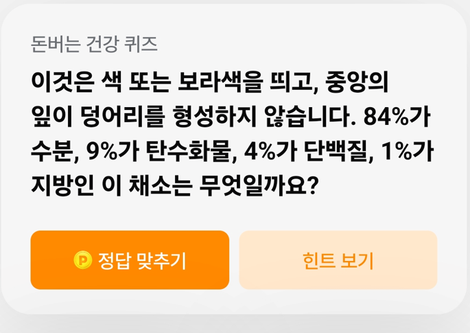 중앙채소 이미지