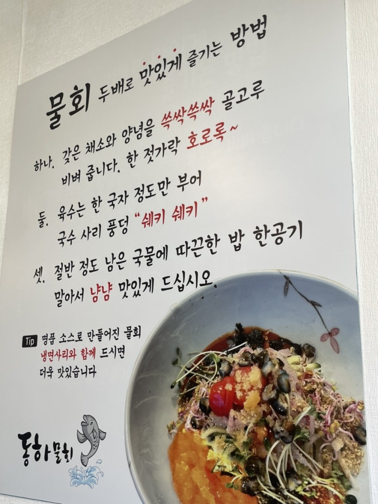동하물회 이미지