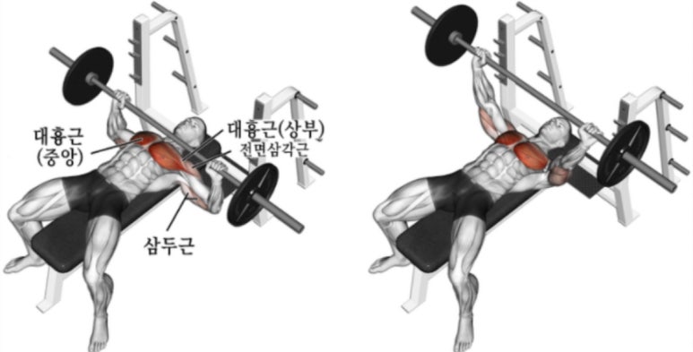 데카스론 이미지