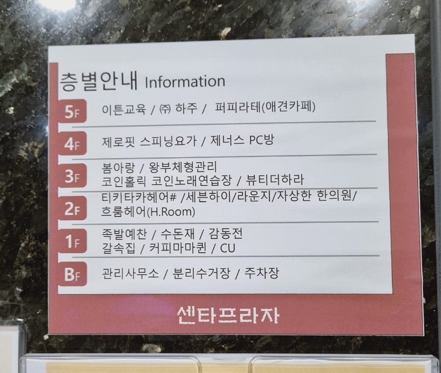 퍼피라떼 이미지