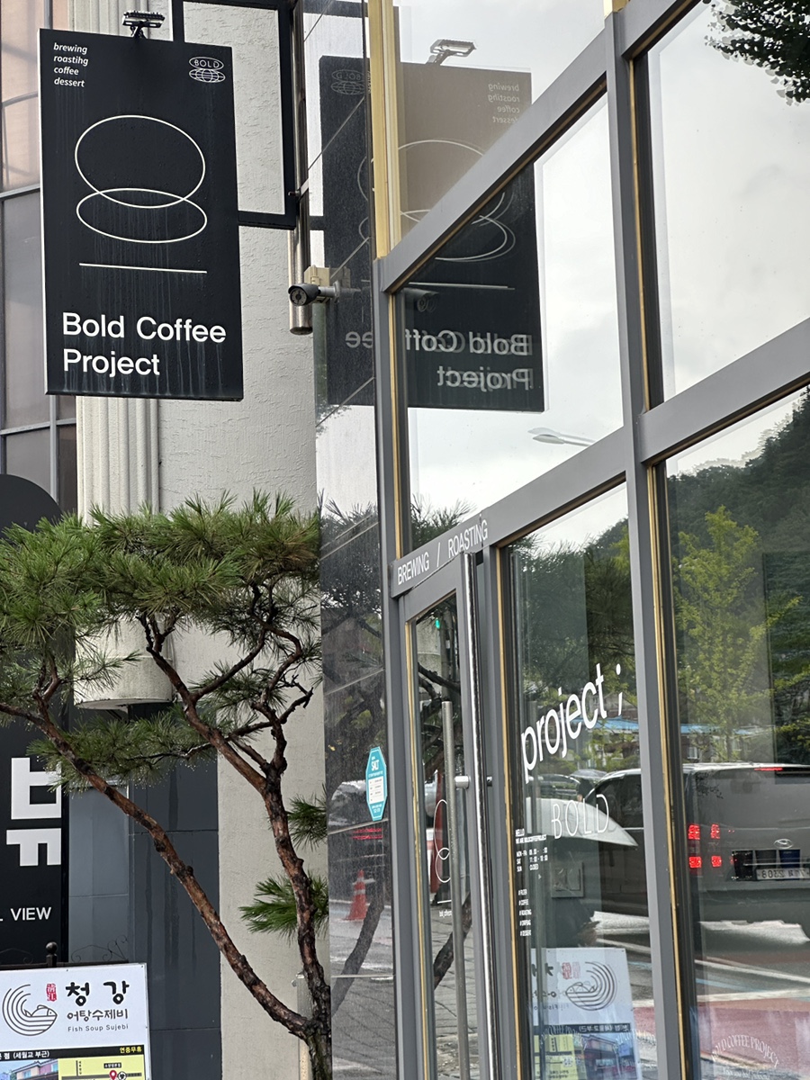 볼드프로젝트 이미지
