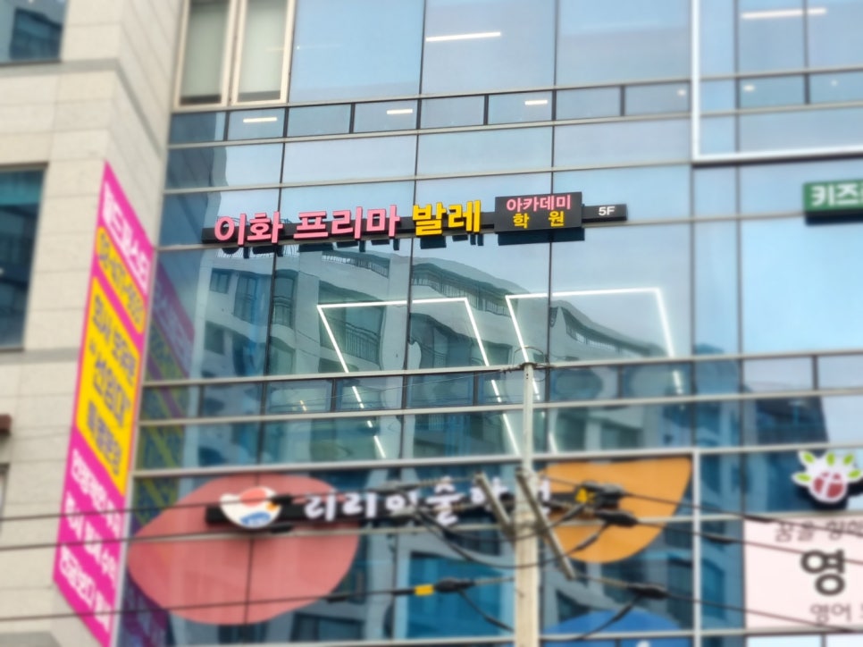 프리마발레학원 이미지