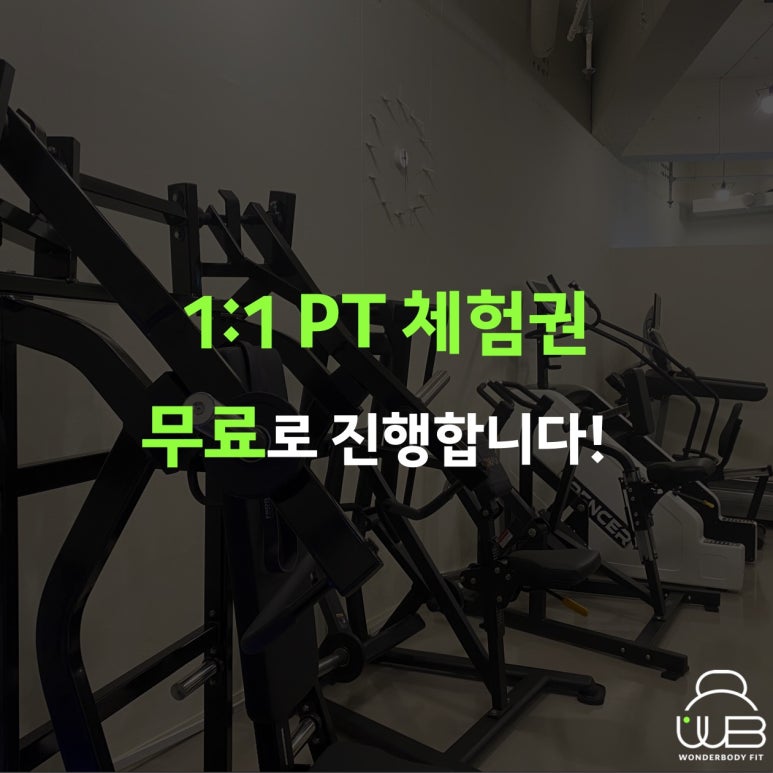 원더바디핏 이미지