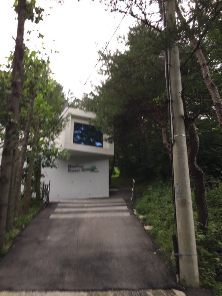 힐링포레스트 이미지