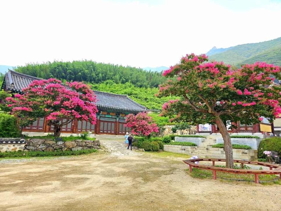 꽃사람 이미지