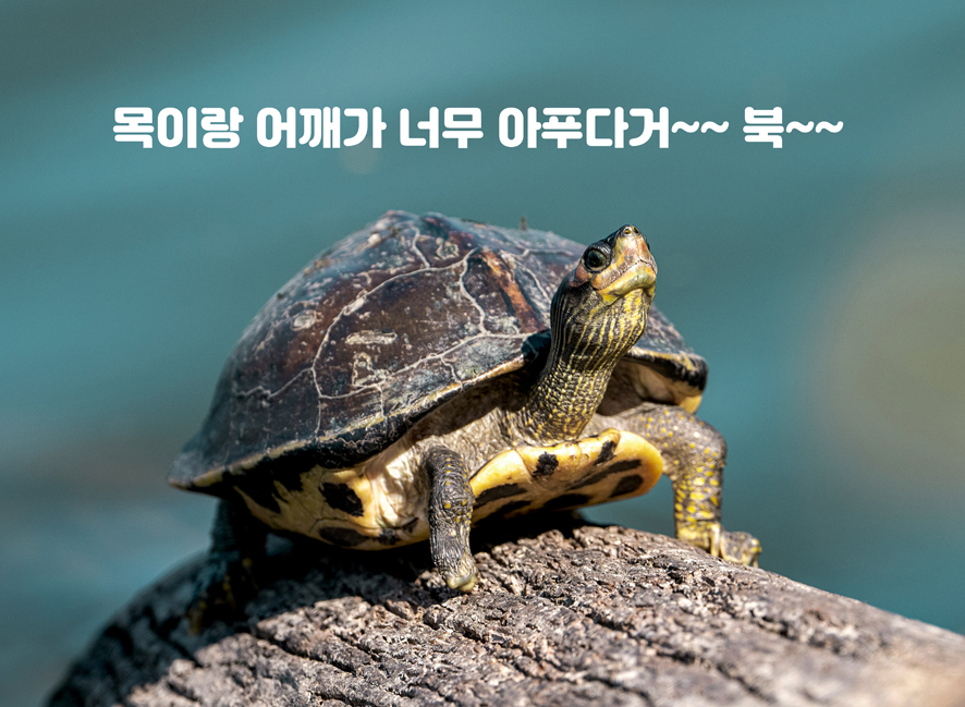 (주)부스트랩 이미지