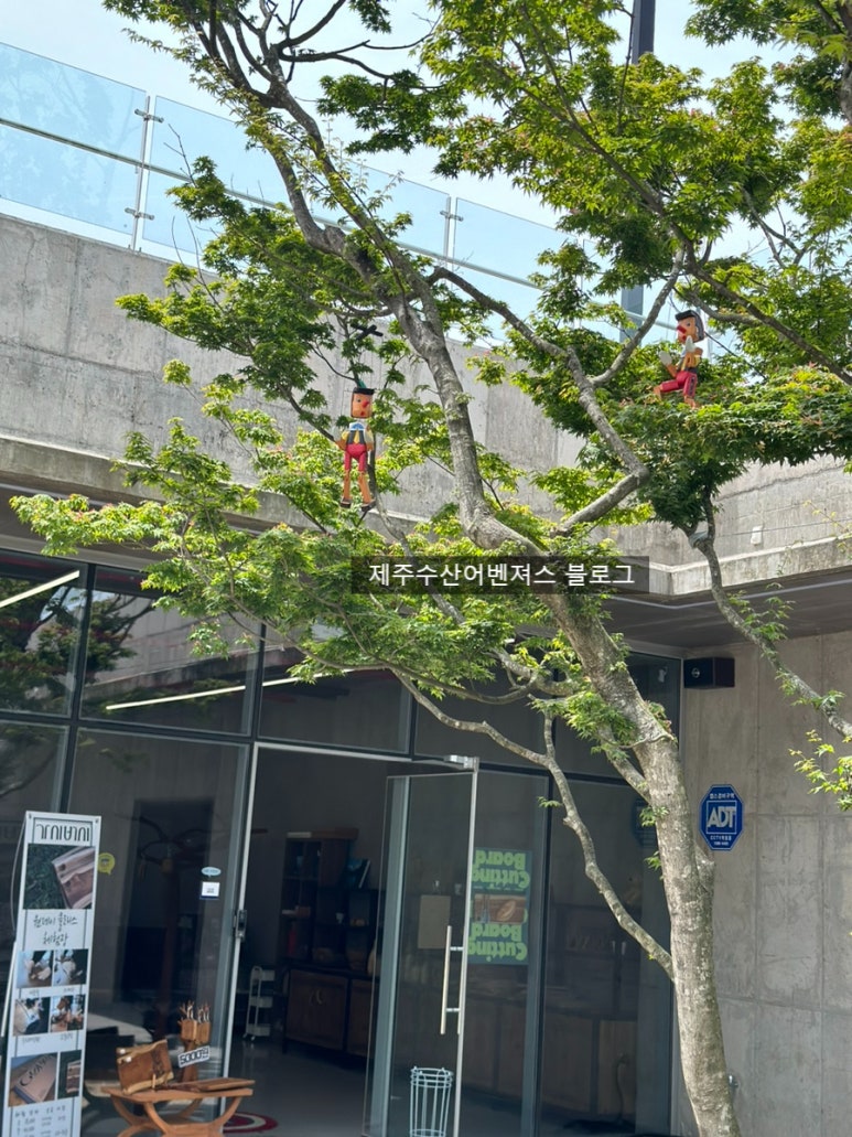 제주수산어벤져스 이미지