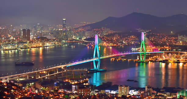 부산Fish 이미지