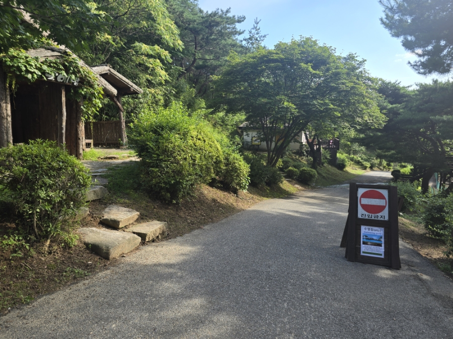 파파스브로트 이미지