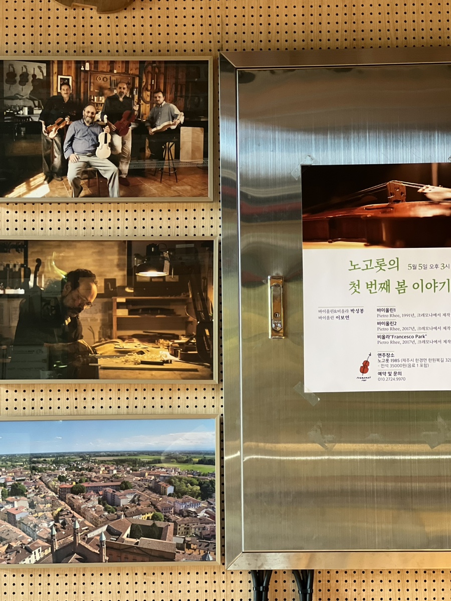 노고롯1985 이미지