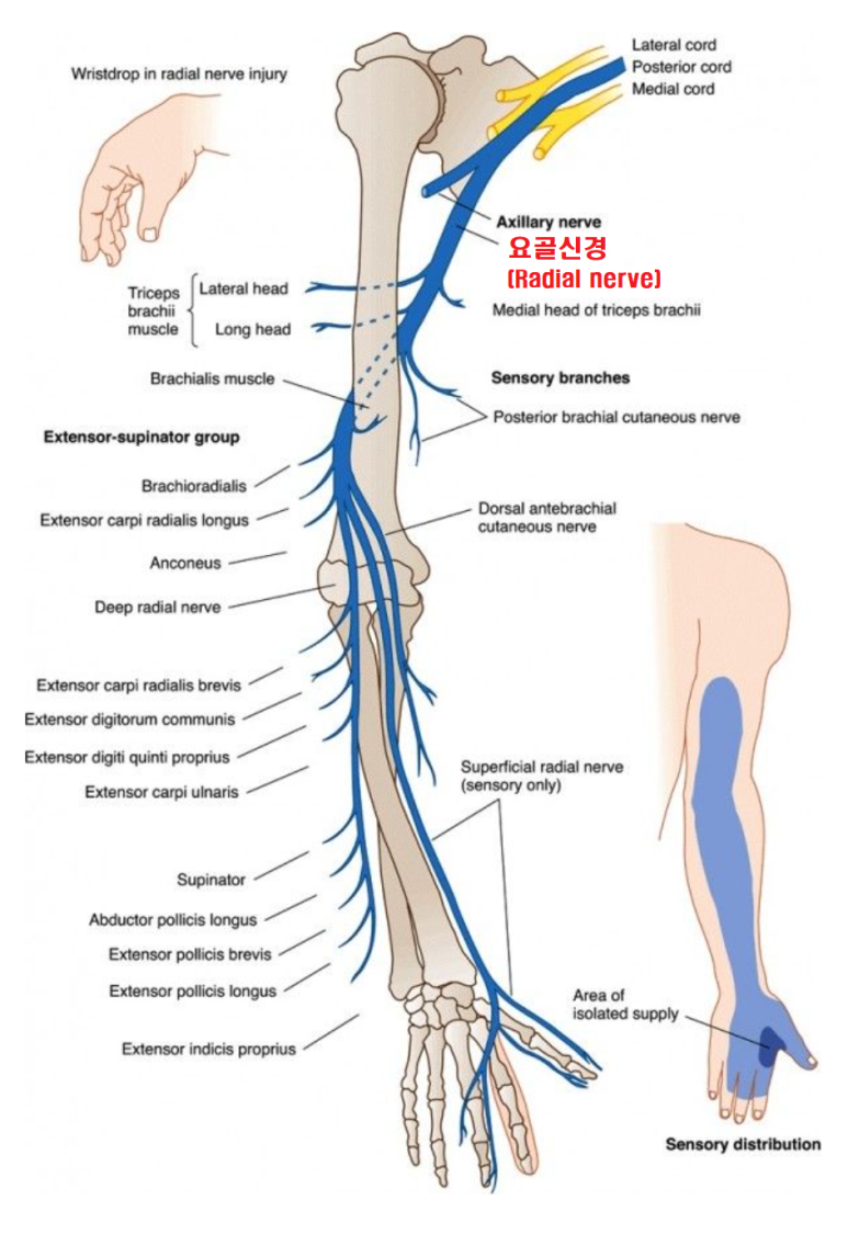 연세한의원 이미지