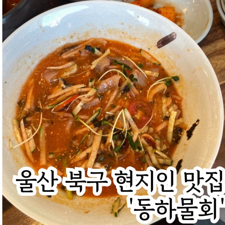 동하물회 이미지