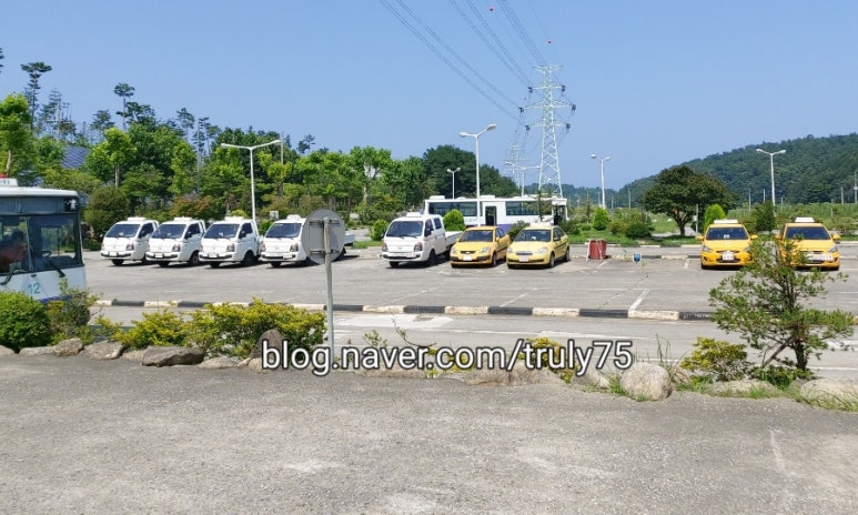 동해자동차운전전문학원 이미지