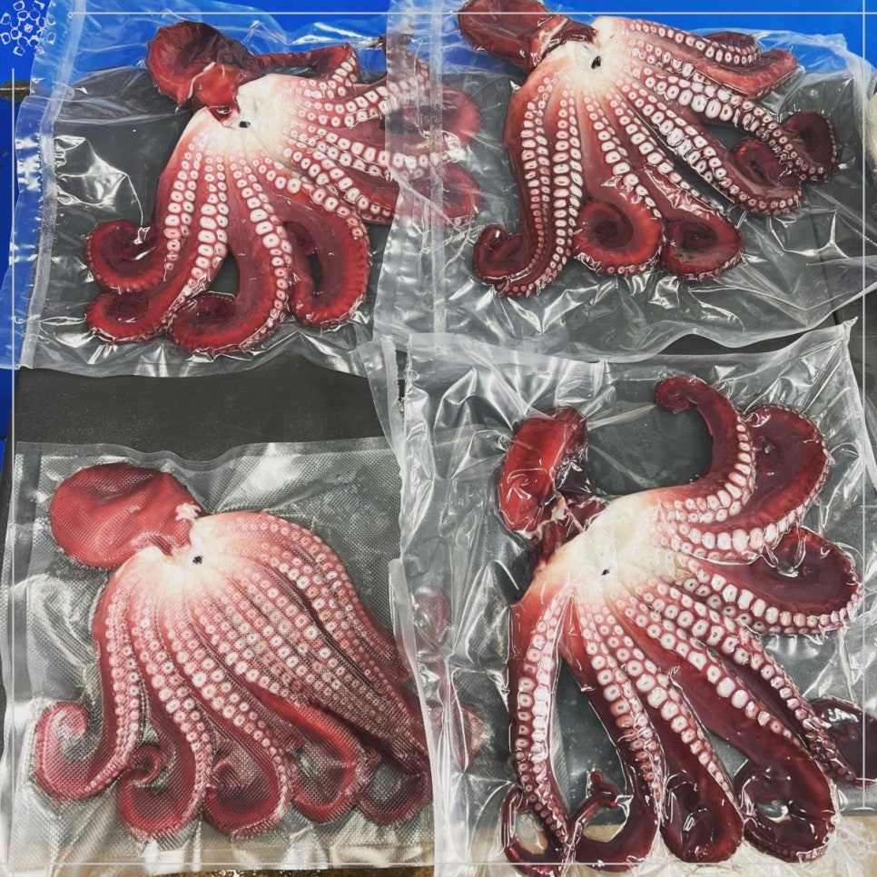 동해바다회수산 이미지