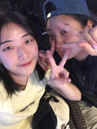 데이비니 이미지