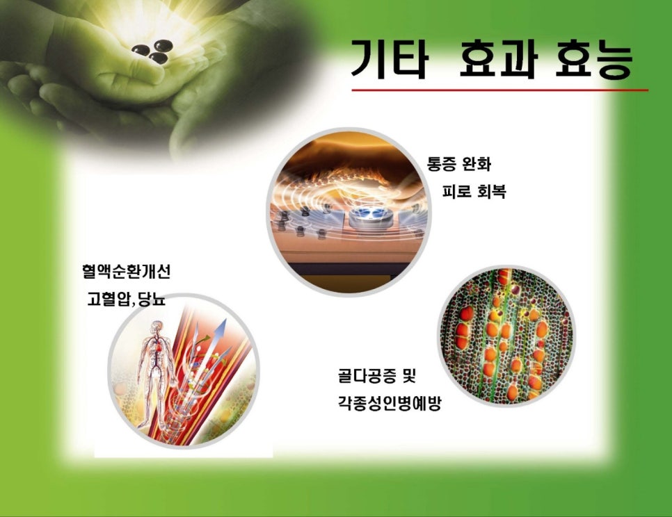 바이오포톤 이미지