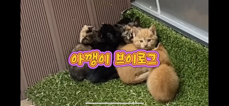 먹갱이 이미지