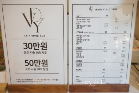 비비드윤 이미지