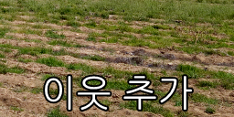 두끼산본점 이미지