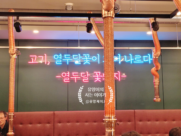 열두달꽃돼지 이미지