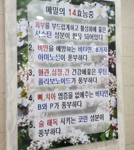 바다꽃소바&해물칼국수 이미지