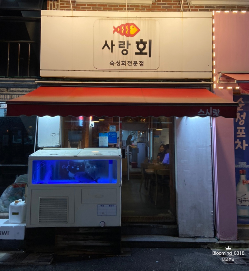 사랑회좋아회 이미지
