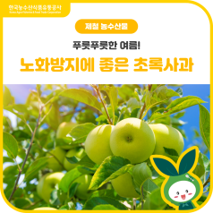 푸릇푸릇한 여름! 노화 예방에 좋은 제철 초록사과🍏 바로가기