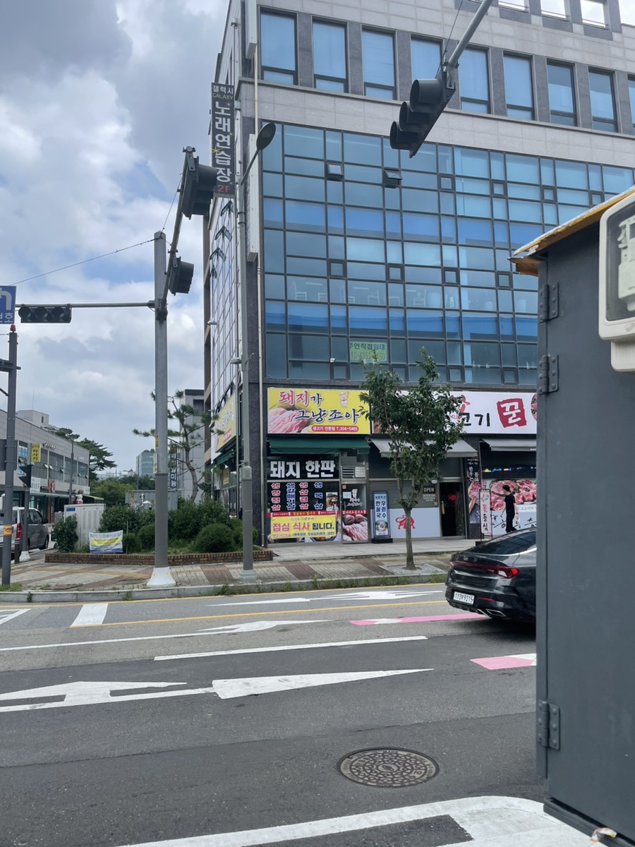 돼지가그냥조아 이미지
