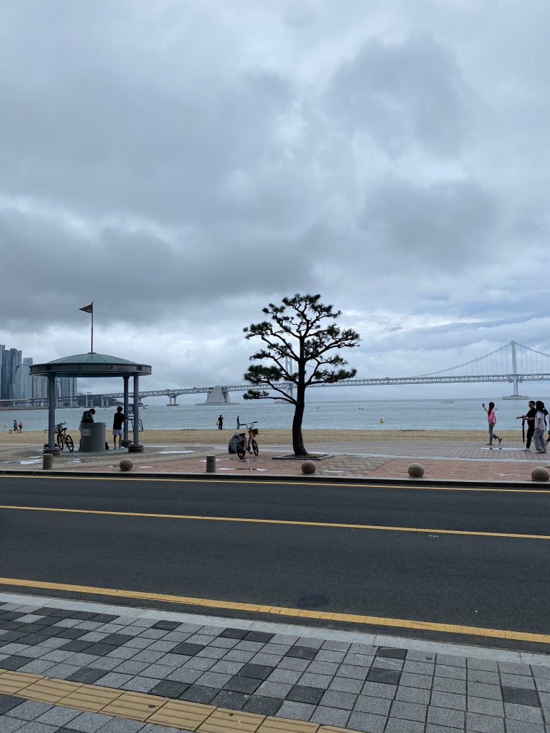 소유템부경대점 이미지