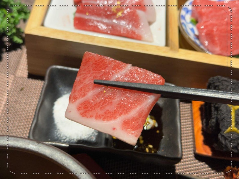 카메참치 이미지