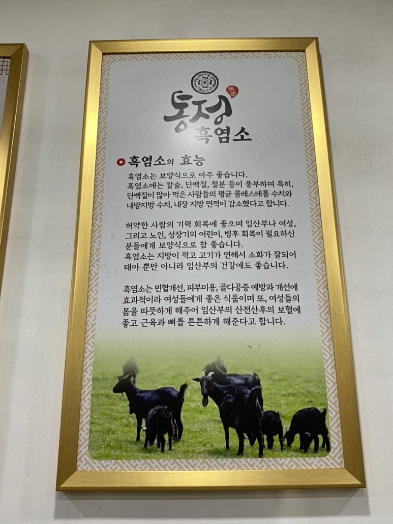 통정흑염소 이미지