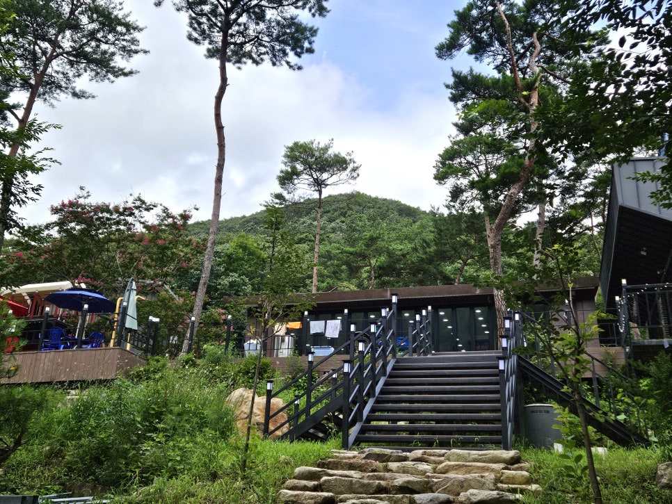 숲750 이미지