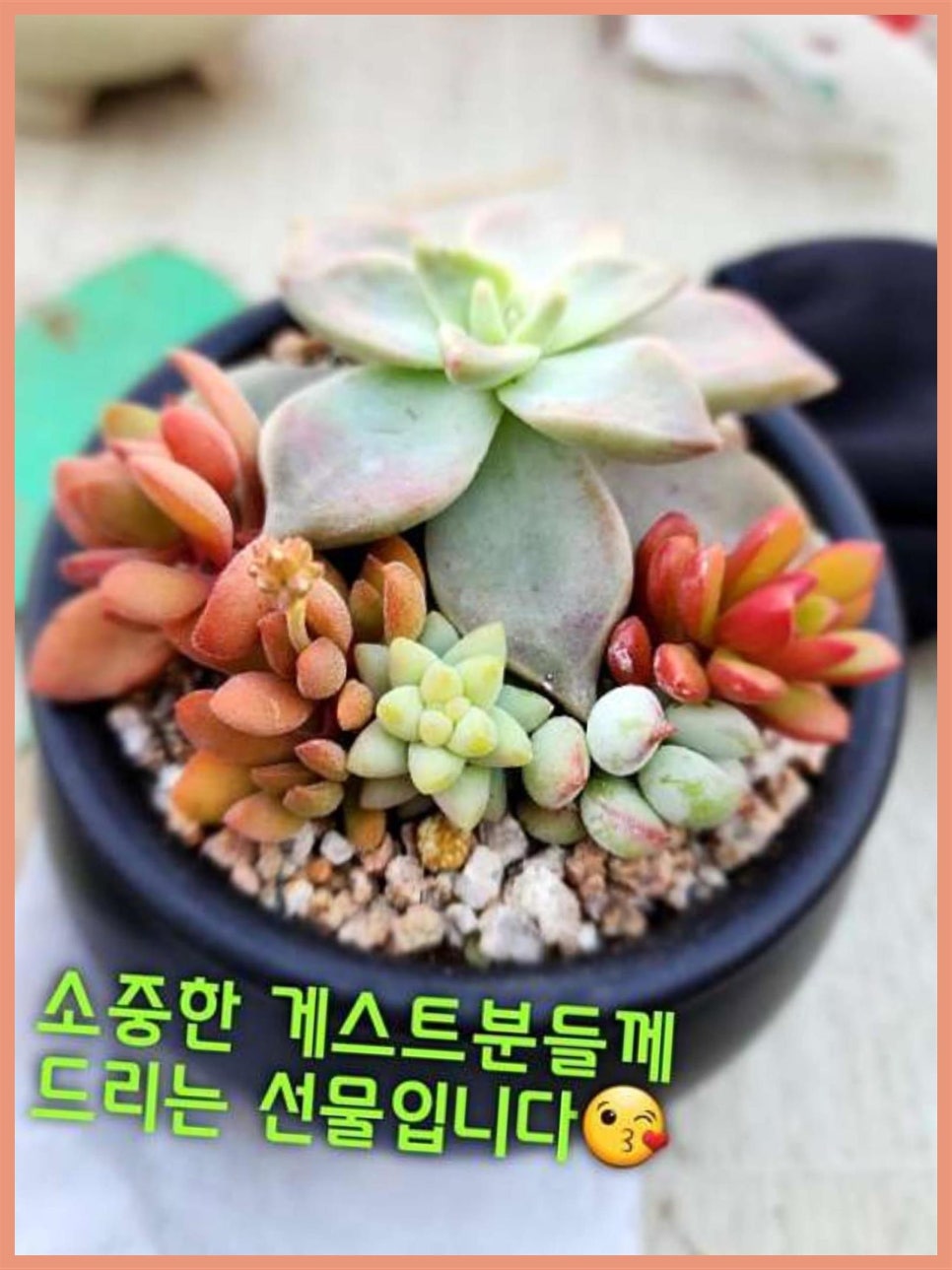달래네하우스 이미지