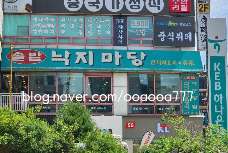 솔밭낙지마당 이미지