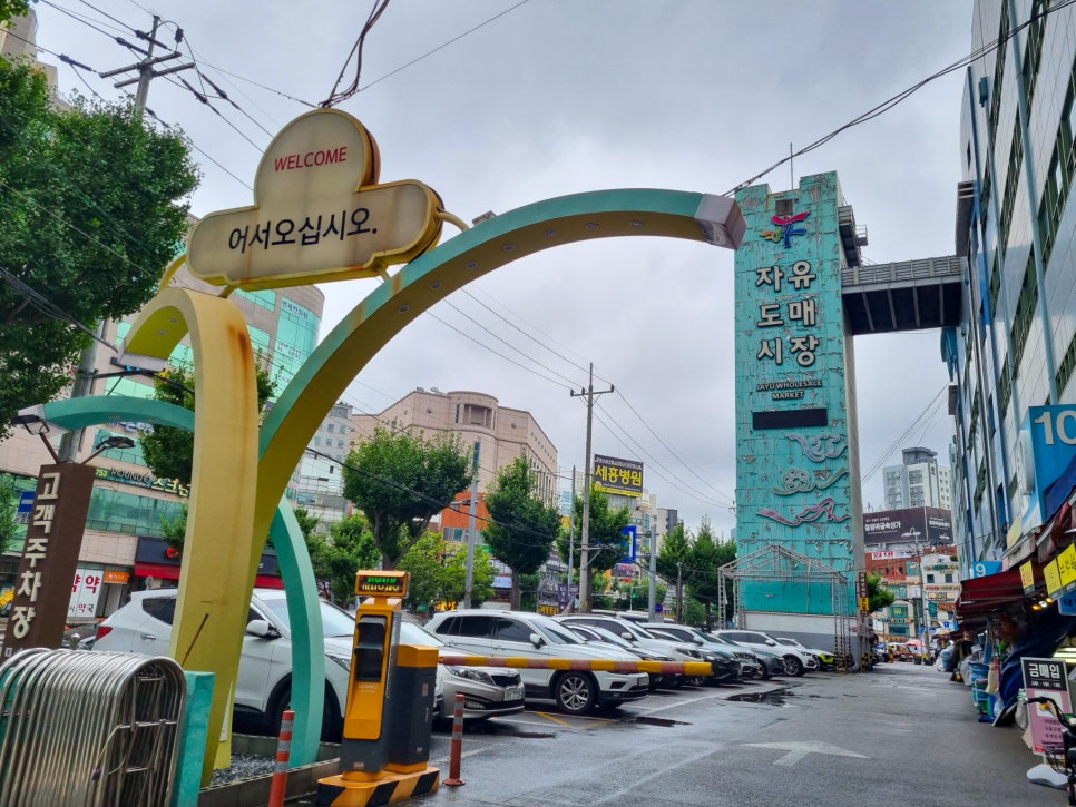 틸다블루자유 이미지