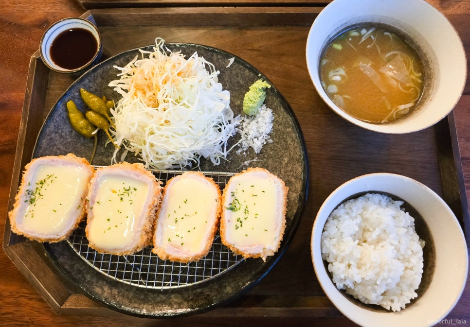 카츠닉 이미지