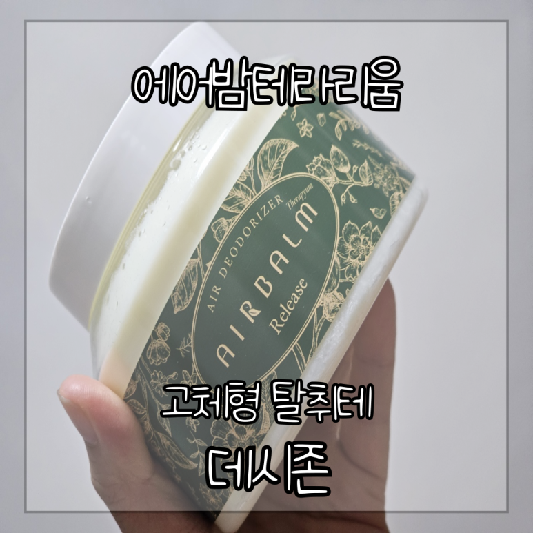 테라피움 이미지