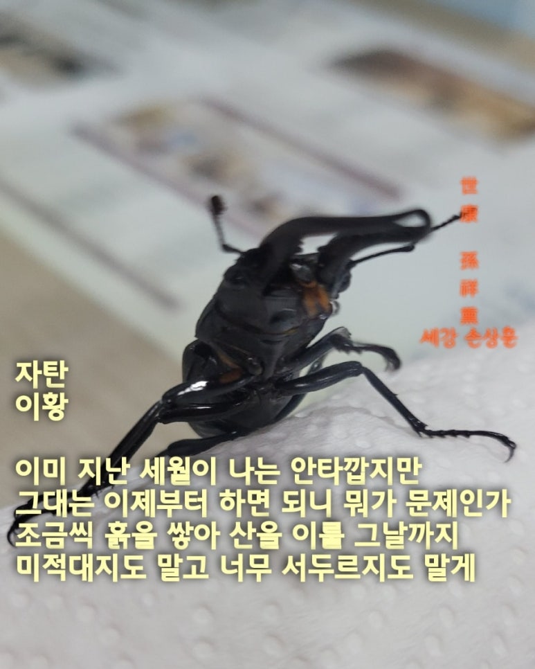 하늘가장례식장 이미지