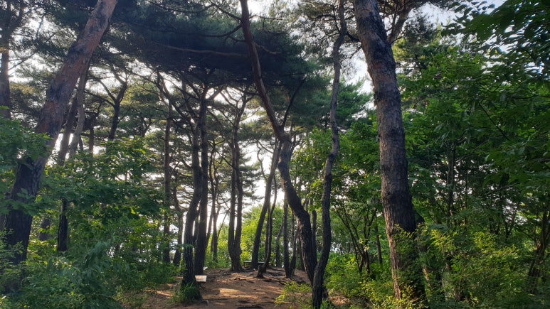태을봉과 주변 봉우리 이미지