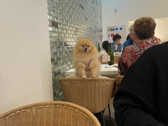 라브리크스타필드 이미지