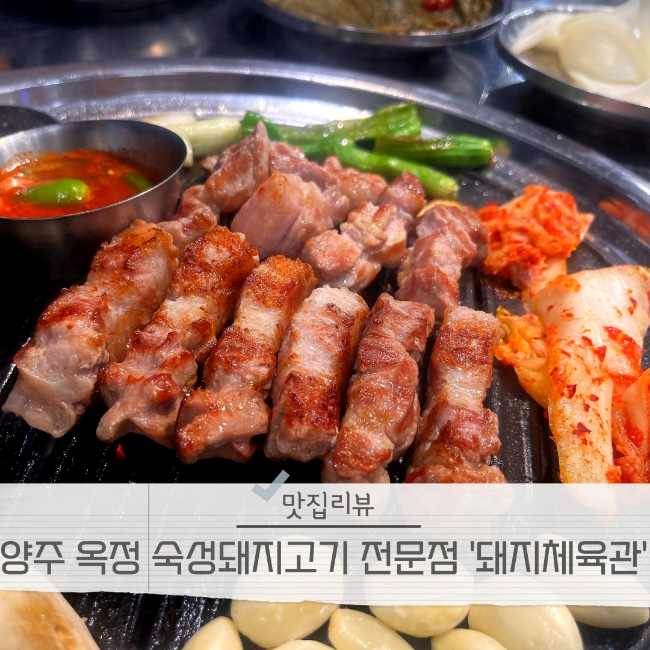 돼지체육관 이미지